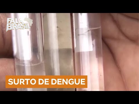 Brasil registra 169 mil casos de dengue em 2025