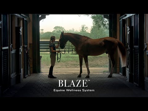 Garmin | Blaze Sistema de bem-estar para equídeos | Monitor de saúde e condição física para cavalos