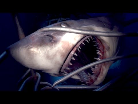 SHARK ATTACK!! Playstation VR Worlds Gameplay HD - UCP-iaFrmWcOG0o461wMicdg