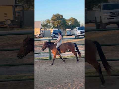 guys ignore me because what was that seat #horse #equestrianriding #horseriding #riding