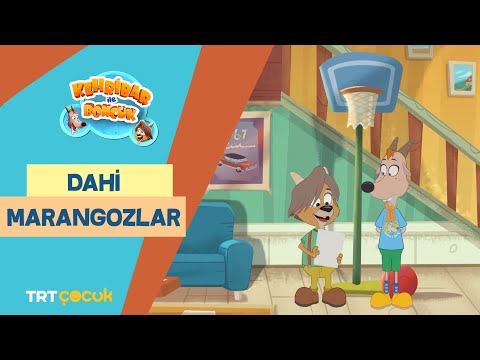 KEHRİBAR İLE BONCUK | DAHİ MARANGOZLAR | TRT ÇOCUK