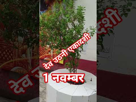 एकादशी स्पेशल 🥰🥰##trending #shortmusic #love 🌹🌹✅✅