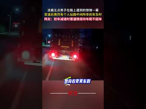 早朝の道路で男子が体験した驚きの出来事と安全運転の重要性 サムネイル