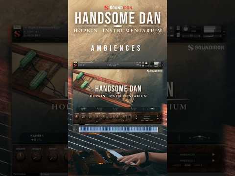 Sound-Designed Ambiences | Hopkin Instrumentarium: Handsome Dan