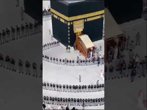 কবরের আজাব থেকে ক্ষমা পাওয়ার দোয়া🤲❤️🥀Mizanur Rahman#azhari#dua#motivation#viral#islamicstatus