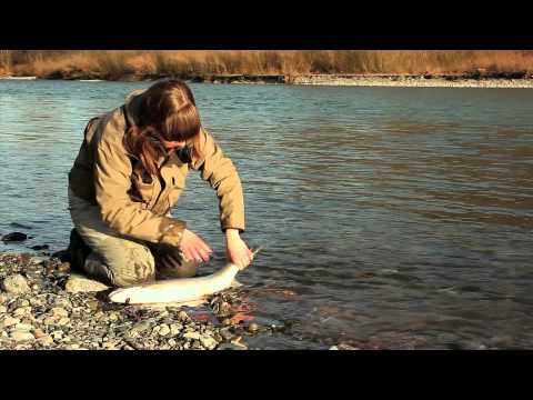 Fishing with Rod: Fishing bloopers from 2011