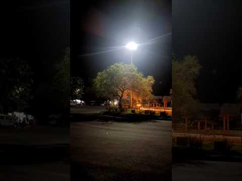 Rat k shikari#shorts #attitude #attitudestatus #shikari #vairalshorts #tandingshort #youtube