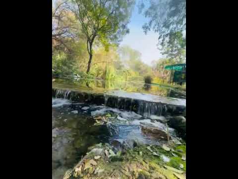 #nature #peace #peaceful #peacefulmusic #natural #naturemusic #life #beauty #view #sundernursery