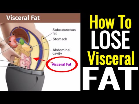 How To Lose Visceral Fat – It's Not As Hard As You Think! - UCKvJ_vxZZoN5yeWBU2CVGcQ