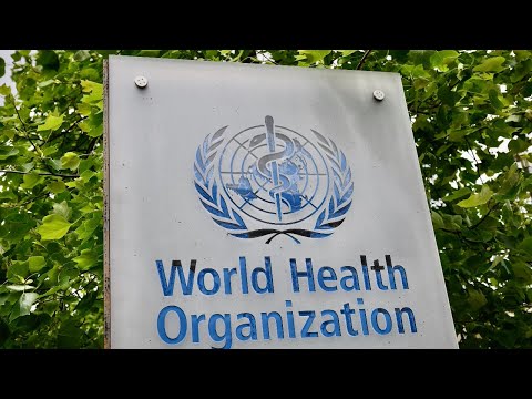 LIVE: World Health Organization holds briefing on coronavirus outbreak