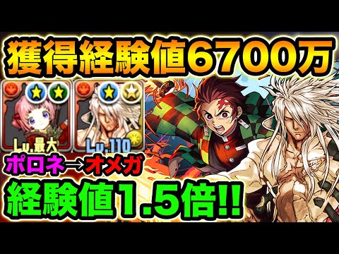 【ソロ】1周6000万超え！強化されたオメガ＆炭治郎でランク経験値大量GET！裏修羅の幻界・ガンコラ【スー☆パズドラ】