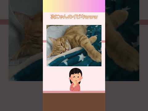 thumbnail_w2xurLdX6_w