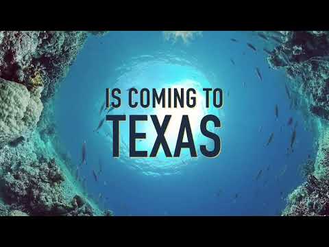 Reef-A-Palooza Is Coming To Texas Oct 8-9 Come join us for the 1st Reef-A-Palooza Texas taking place at the Embassy Suites by Hilton Dallas-Fr