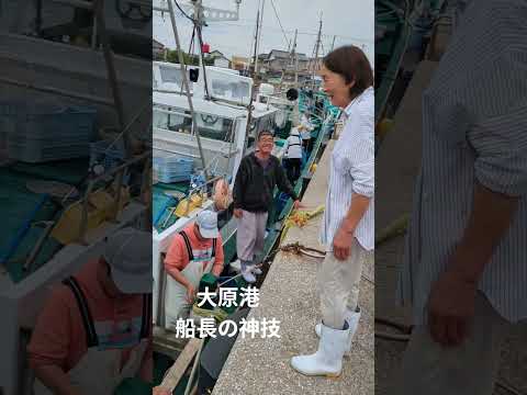 【情熱チャンネル📺】大原漁港 はなぶさ丸 レジェンドのぶゆき船長 小浜港 廣田様  神技 狭い隙間にドンピシャ R7/6/10 まさかずのアサカツ 小路正和