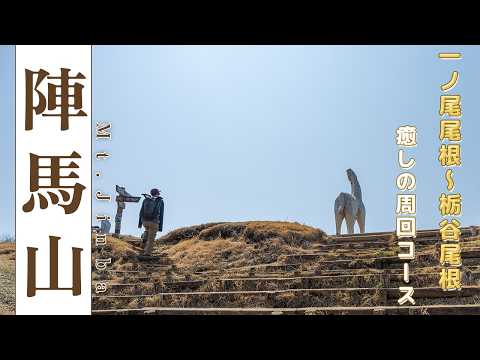 【 登山 】陣馬山 一ノ尾尾根 〜 栃谷尾根 周回コース 癒しの尾根道、古道を楽しむ日帰り登山