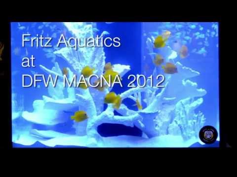 Fritz Aquatics at DFW MACNA 2012 - Tank Giveaway! We're giving away this huge custom aquarium set up in our booth. Come by, enter to win!