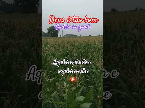 God is so good - #motivacional #reflexão #shorts #deus #jesus #colheita #shortsviral #justice
