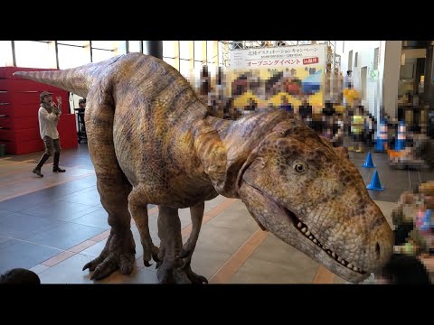 【4K】DINO-A-LIVE 北陸デスティネーションキャンペーン in JR福井駅2024／DINO-A-LIVE Hokuriku Destination Campaign in Fukui