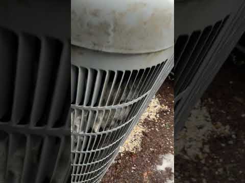 Jobs with Boanerge:💨Condenser Coil Cleaning