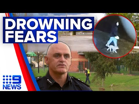 Fears person and dog have been swept away in flooded Victorian creek | 9 News Australia