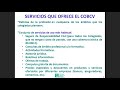 Imagen de la portada del video;Webinar 20 mayo 2021 Colegio Oficial de Biólogos Comunidad Valenciana