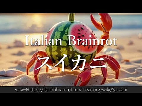 30秒でわかる「スイカニ」