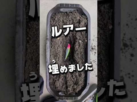 プラッチックでも食べる最強微生物