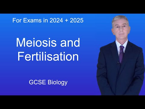 GCSE Science Revision Biology "Meiosis and Fertilisation"