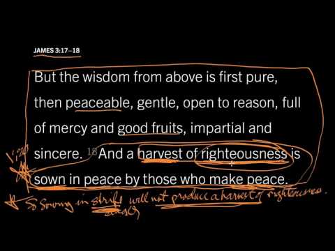 James 3:18 // What Does It Mean to Meditate