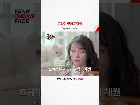 <strong>고양이</strong> 옆에 <strong>고양이</strong>
