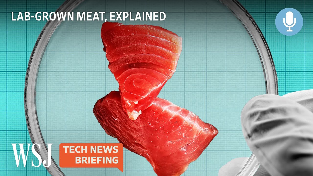 Lab-Grown Meat: How Much Can It Help Save Our Climate? | Tech News Briefing Podcast | WSJ