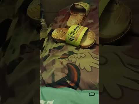 Every 2024 nascar diecast 1 64