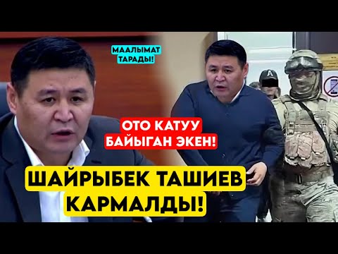 Срочно! Шайырбек Ташиев КАРМАЛЫП СУРАК берип жатат ДЕГЕН маалымат тарады 