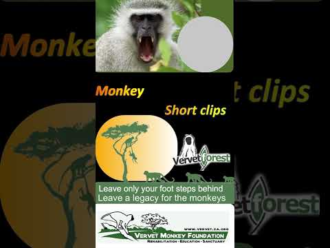 Newest arrival - happy for the rehydration