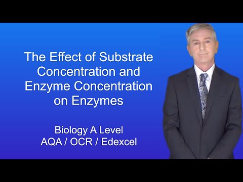 A Level Biology Revision “The Effect of Substrate Concentration and Enzyme Concentration on Enzymes”