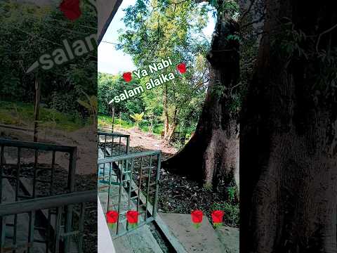 🌹 labbaik Rasool sallallahu alaihi wa sallam 🌹 #youtubeshorts #islamicstatus #mychannel #myvideo