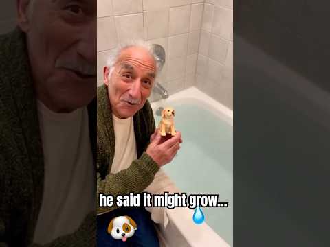 Grandpa Just Wanted a Friend 🐶