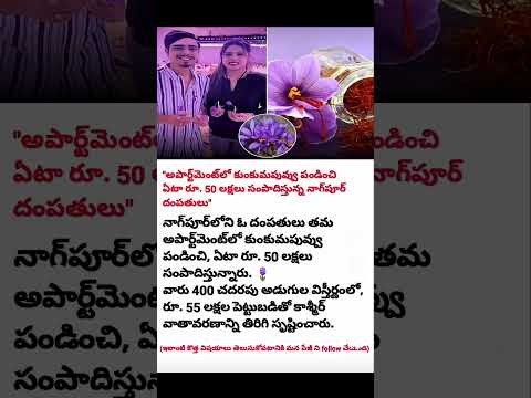 💥 ఆఫ్ఫీస్‌మెంట్‌లో కుంకుమపువ్వు పండించి రూ.50 లక్షలు సంపాదించిన నాగ్‌పూర్ దంపతులు 🌸