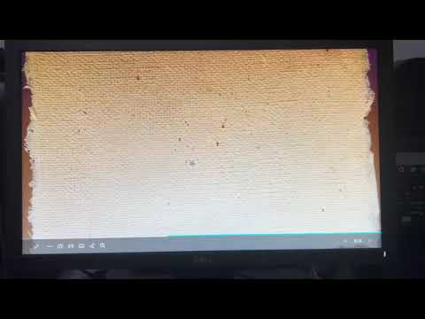 عرض تقديمي عن المناطق الاستوائية والقطبية 