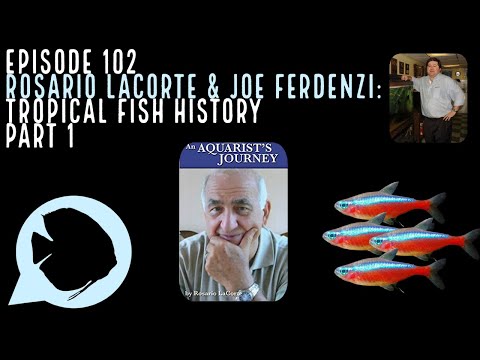 Ep. 102 - Rosario LaCorte and Joe Ferdenzi_ Tropic Source:
https_//www.podbean.com/eau/pb-4j5rr-108c102

Get your Aquarium Co-Op Test Strips and start 