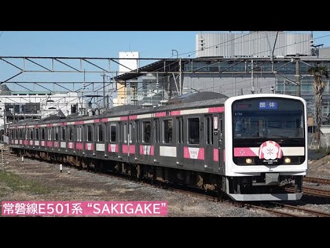 常磐線E501系イベント車両 “SAKIGAKE（さきがけ）” 2024年3月