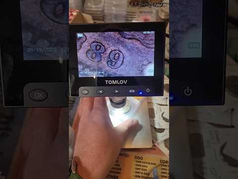 Silver Dollar Prices are Rising Everyday! #silver