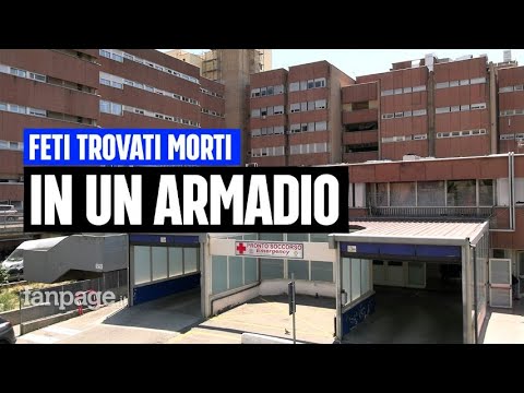 Feti morti nell’armadio a Reggio Calabria, 24 enne indagata, il medico: “Diceva di essere vergine"