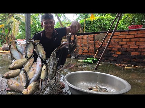 Dầm mình trong cơn mưa bão giăng lưới trên ruộng