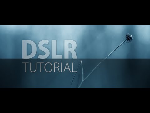 The ultimate Introduction to DSLR Filmmaking | Basic Tutorial - UCTU-AvSQopinNy7frk8GtJA