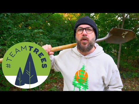 20 Million Trees? Are You Kidding Me??