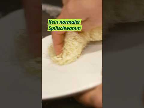 Luffa Gurke #shorts  #unserland #landwirtschaft #kürbis #luffagurke