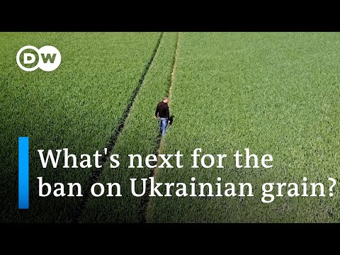 The EU's balancing act between supporting Ukraine and keeping member states happy | DW News