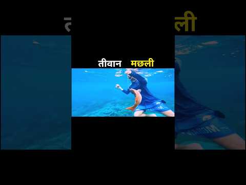 तीवान मछली 😱 #aivideo #fishing #fascinatinginformation #amazingfacts #fish #youtubeshorts