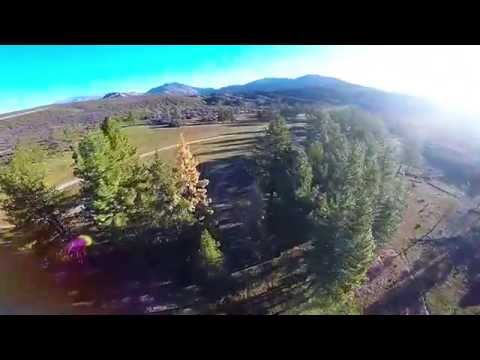 Mb Epic 2208 1800 kv 5s ( Tree Hugger) - UCVDN9demCO6iE1rPZRMoQuw